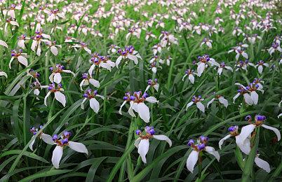 《浩劫前夕》前员工透露游戏开发灾难：不断跟风修改 加班